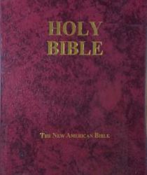 THE NEW AMERICAN BIBLE